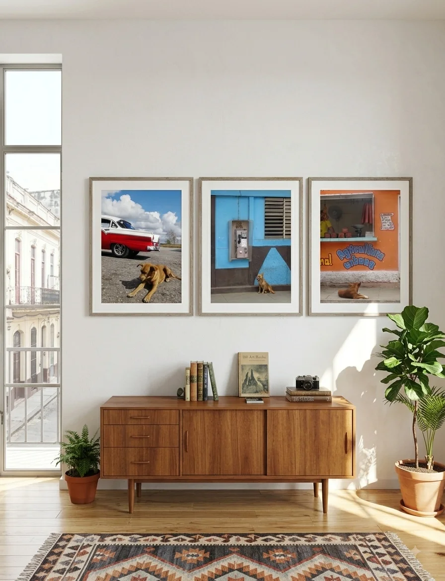 Mise en situation — collection Dogs & Other Lives, photographies de Stéphane Pestel