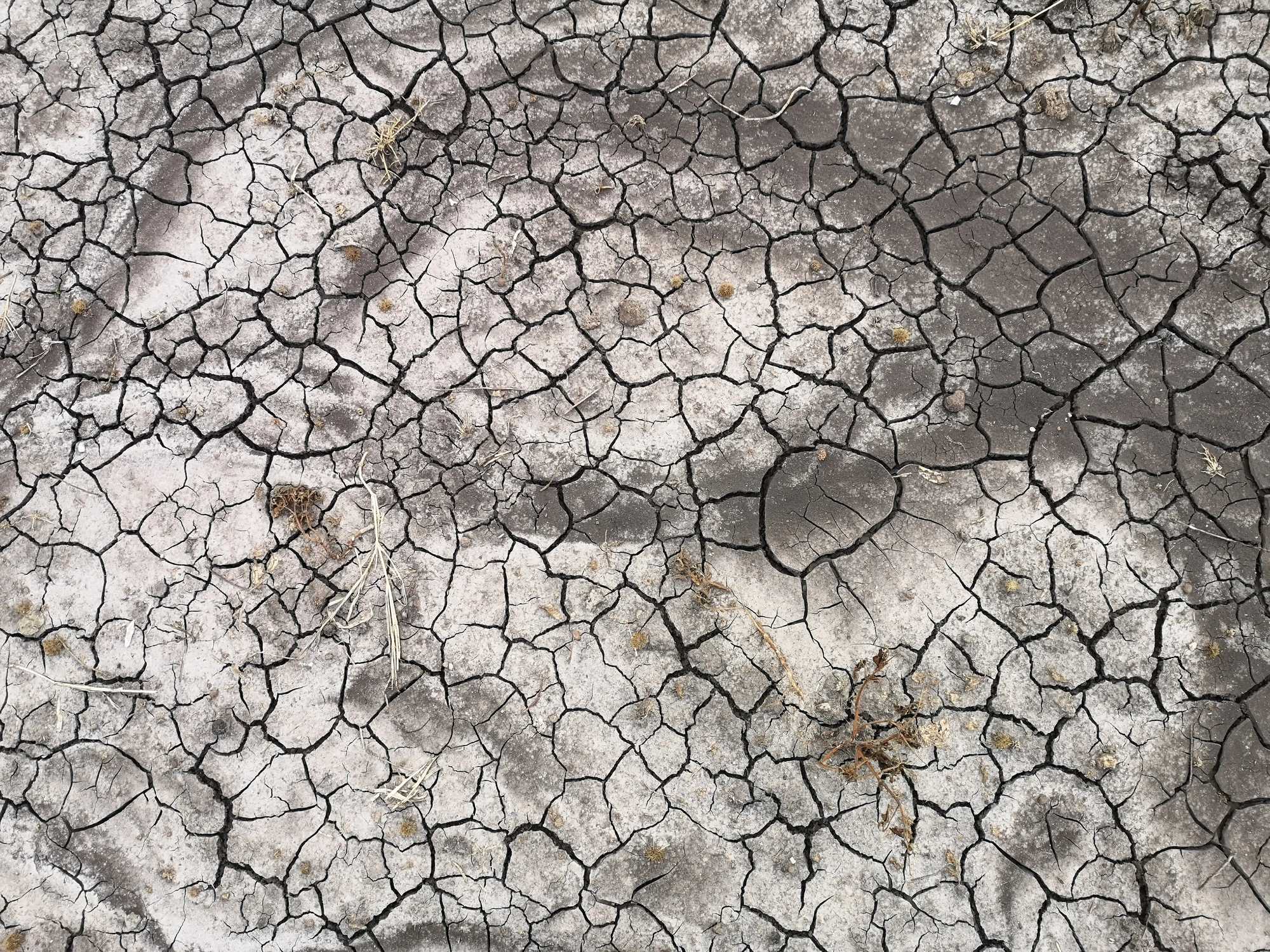 Terre craquelée — Ecology — photographie en couleur de Stéphane Pestel, collection Abstracts